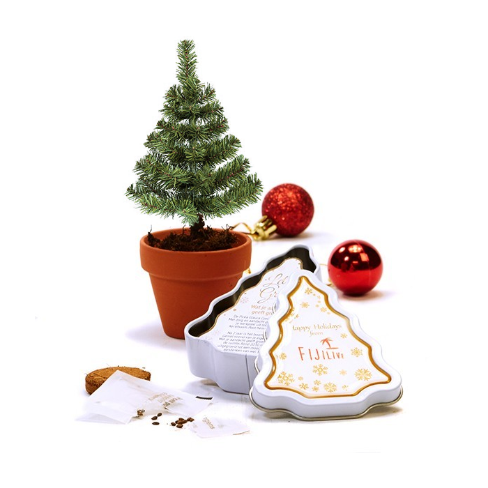 Kerstboomblik kweekset