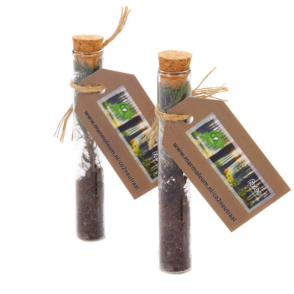 Duurzame kerstgeschenken