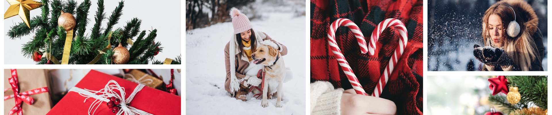 Vacatures en stages bij Fortune Factory