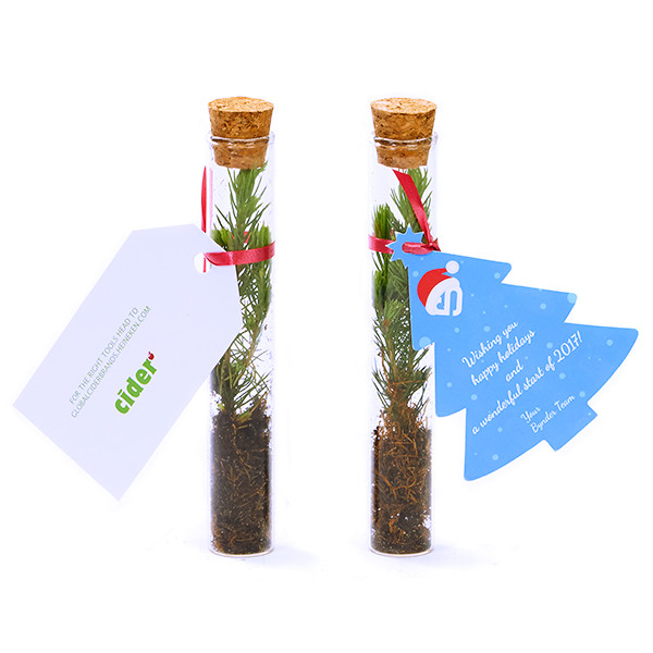 Duurzaam kerstpakket bestellen? Denk groen, schenk groen!