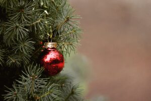 3 redenen om te kiezen voor een echte kerstboom boven een kunstkerstboom